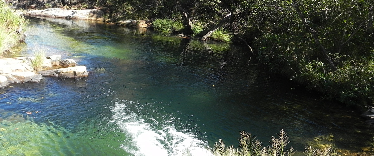 Cachoeira.jpg